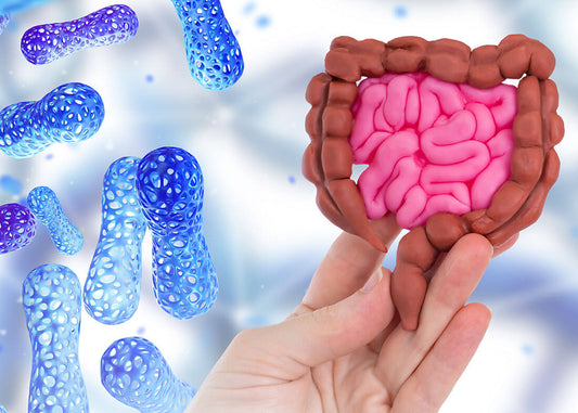 Understanding the Power of Prebiotics and Probiotics Differences?